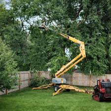 Artificial Turf Installation in Oil City, PA